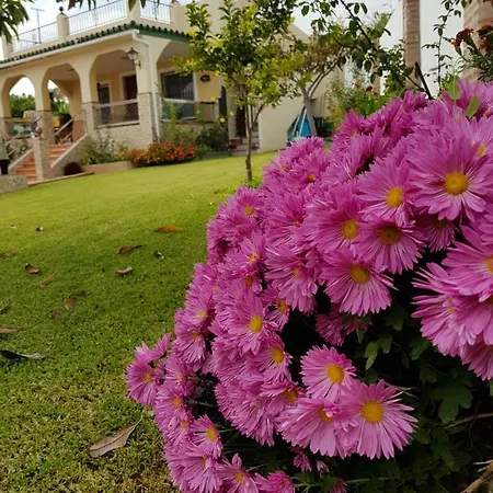 Jorge Spainsunrentals 1022