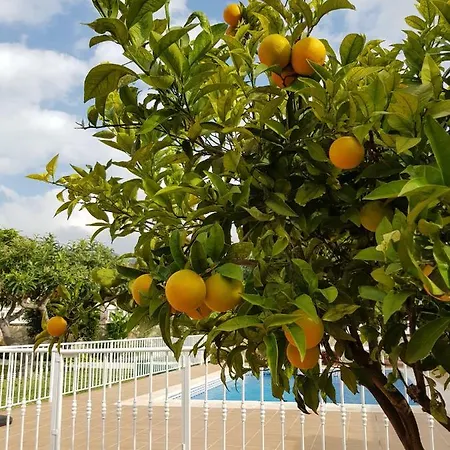 Jorge Spainsunrentals 1022 וילה נרחה