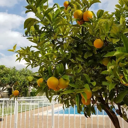 Jorge Spainsunrentals 1022 Villa Nerja