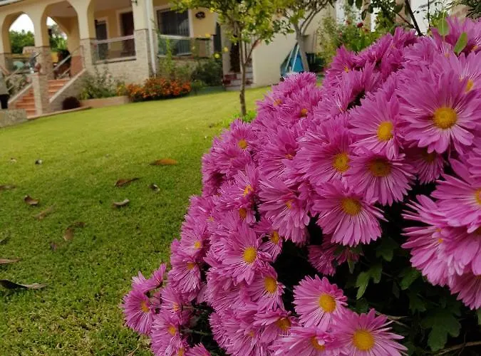 Jorge Spainsunrentals 1022