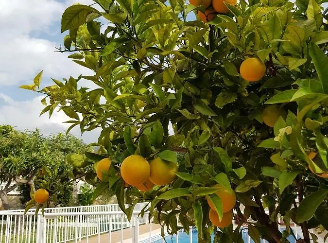 Jorge Spainsunrentals 1022 Βίλα Nerja